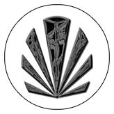 DAROUND 602 BK WT Black Sunburst White Background copy